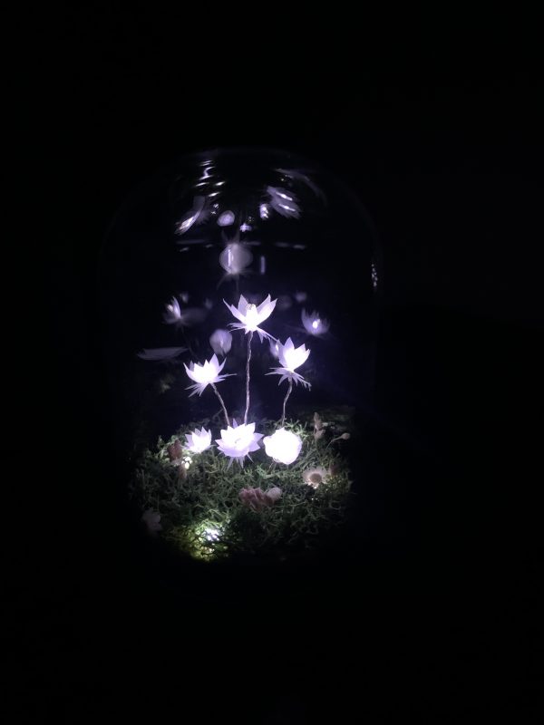CÚPULA FLORAL - Image 2
