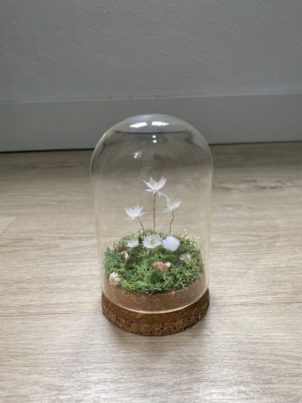 CÚPULA FLORAL